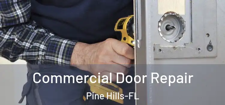  Commercial Door Repair Pine Hills-FL