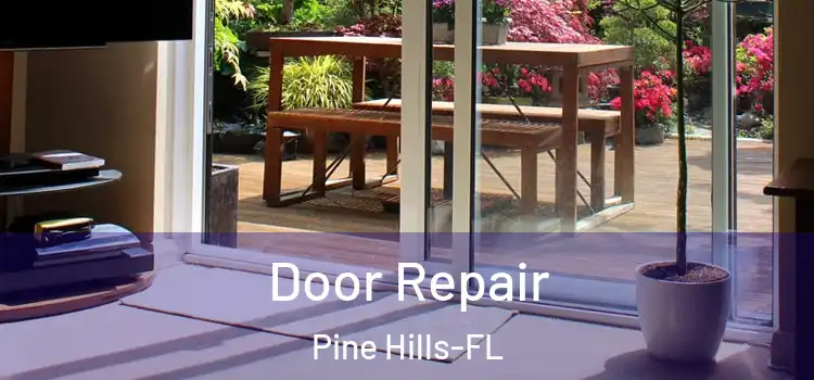 Door Repair Pine Hills-FL