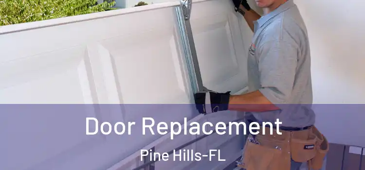  Door Replacement Pine Hills-FL