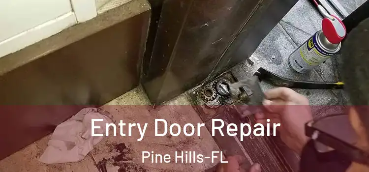  Entry Door Repair Pine Hills-FL