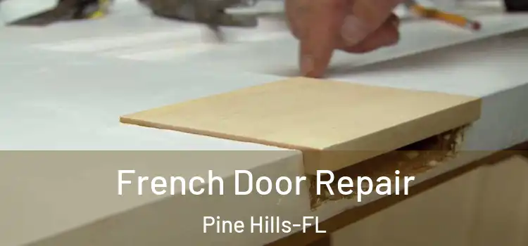  French Door Repair Pine Hills-FL