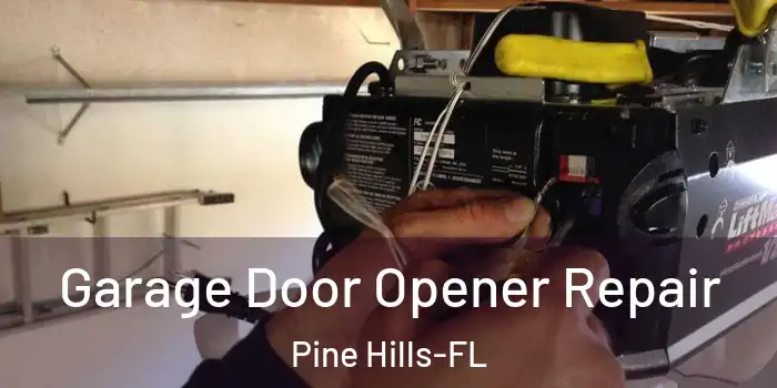  Garage Door Opener Repair Pine Hills-FL