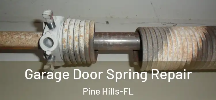  Garage Door Spring Repair Pine Hills-FL