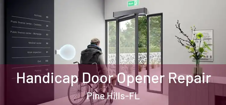  Handicap Door Opener Repair Pine Hills-FL
