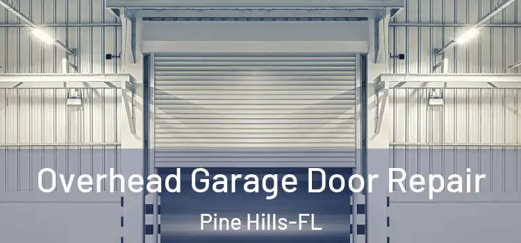  Overhead Garage Door Repair Pine Hills-FL