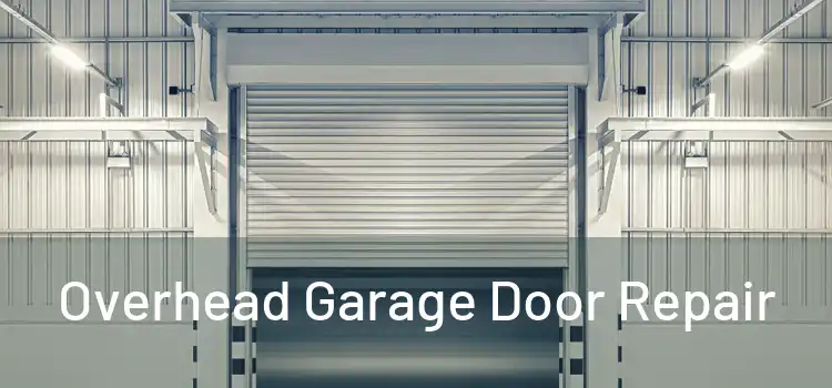  Overhead Garage Door Repair 