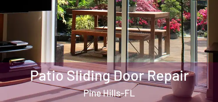  Patio Sliding Door Repair Pine Hills-FL
