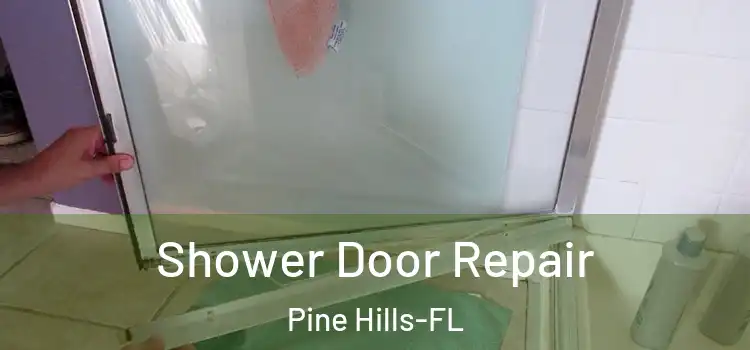  Shower Door Repair Pine Hills-FL