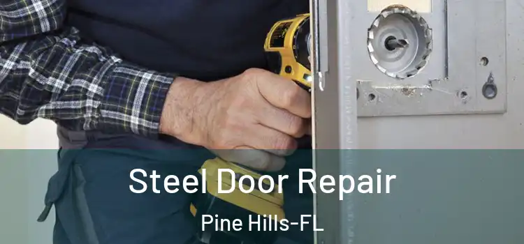  Steel Door Repair Pine Hills-FL