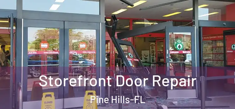  Storefront Door Repair Pine Hills-FL