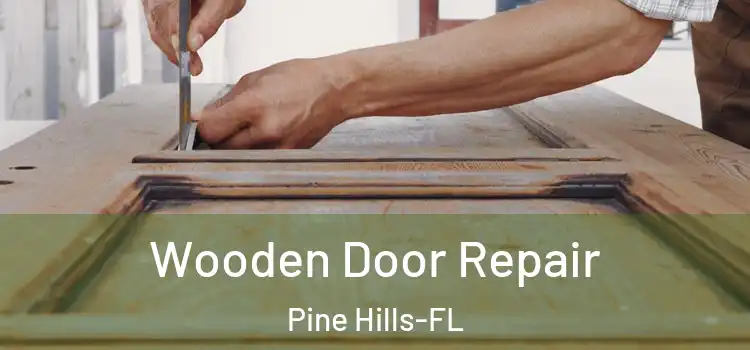  Wooden Door Repair Pine Hills-FL